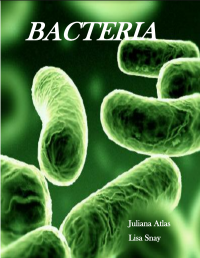 Bacteria - the Scientia Review